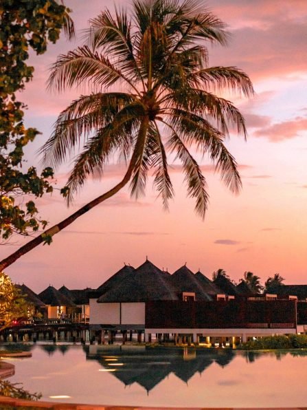 pexels-asad-photo-maldives-11434413